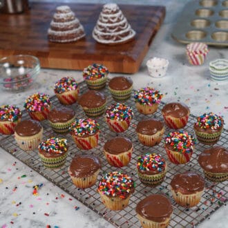 Mini Vanilla Cupcakes
