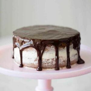 A chocolate almond cake on a pink cake stand