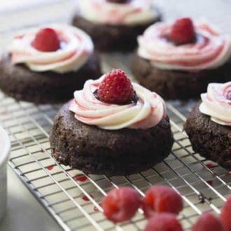 Chocolate Raspberry Cheesecake Bites with a fresh raspberry on top.