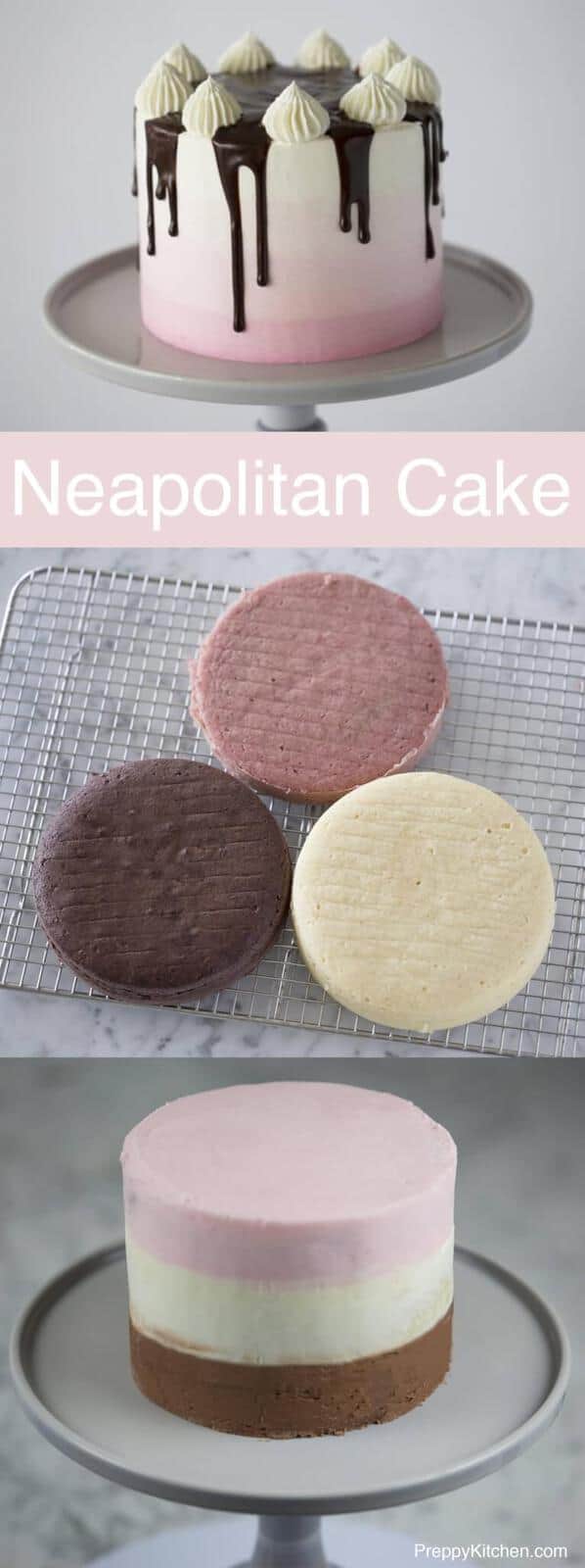 An elegant take on a childhood classic. Chocolate, strawberry and vanilla cake covered in Italian buttercream and topped with a dark chocolate ganache. Click over for full recipe and video.