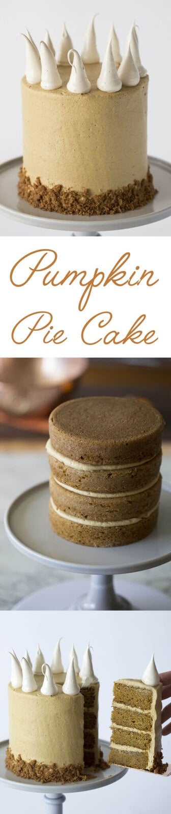Moist and pumpkin with a special Fall spice mix, the meringue dollops on top have a hint of caramel and the graham cracker crust gives you that perfect crunch. Click over for the full recipe and video.