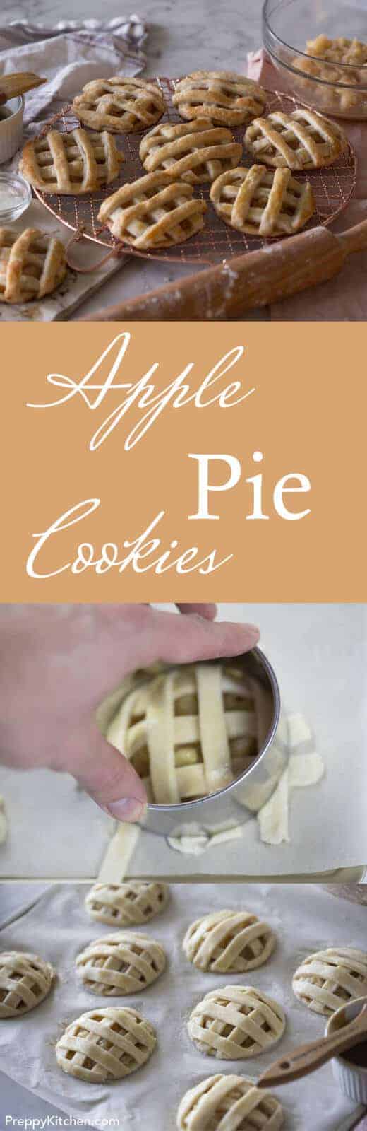 Mini apple pies that fit into your hand! Click over for the full recipe.
