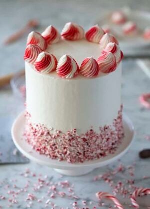 A photo showing a chocolate peppermint cake on a white marble table.
