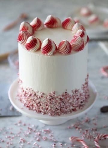 A photo showing a chocolate peppermint cake on a white marble table.