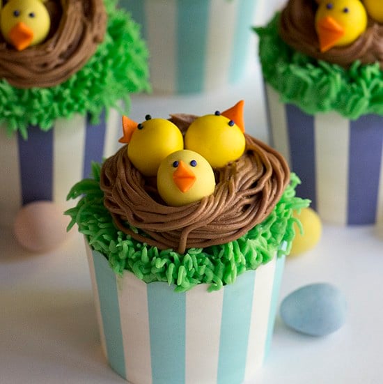 A photo showing cupcakes with baby chicks in a chocolate nest on top