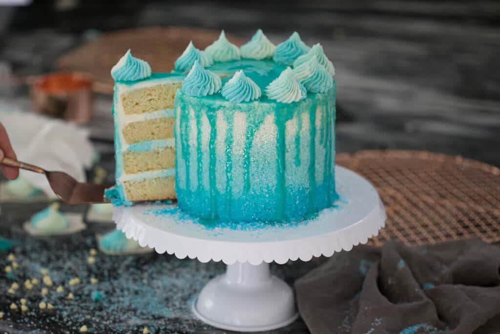 Winter Wonderland Cake - Preppy Kitchen