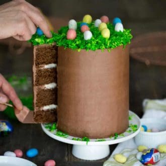 Chocolate Easter Cake