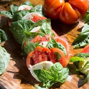 Caprese Salad