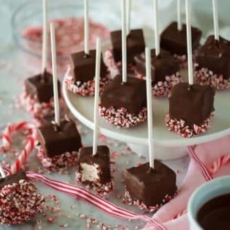 A photo of chocolate-dipped peppermint marshmallows on sticks.