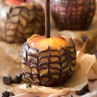 Gourmet Caramel Apple