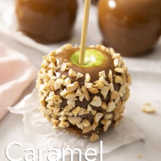 A caramel apple covered in peanuts.