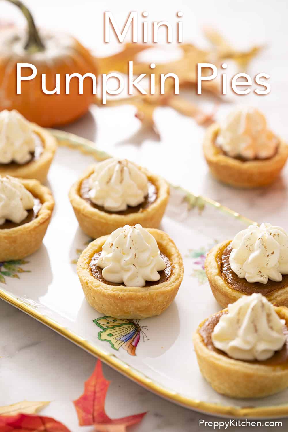 Mini Pumpkin Pies Preppy Kitchen