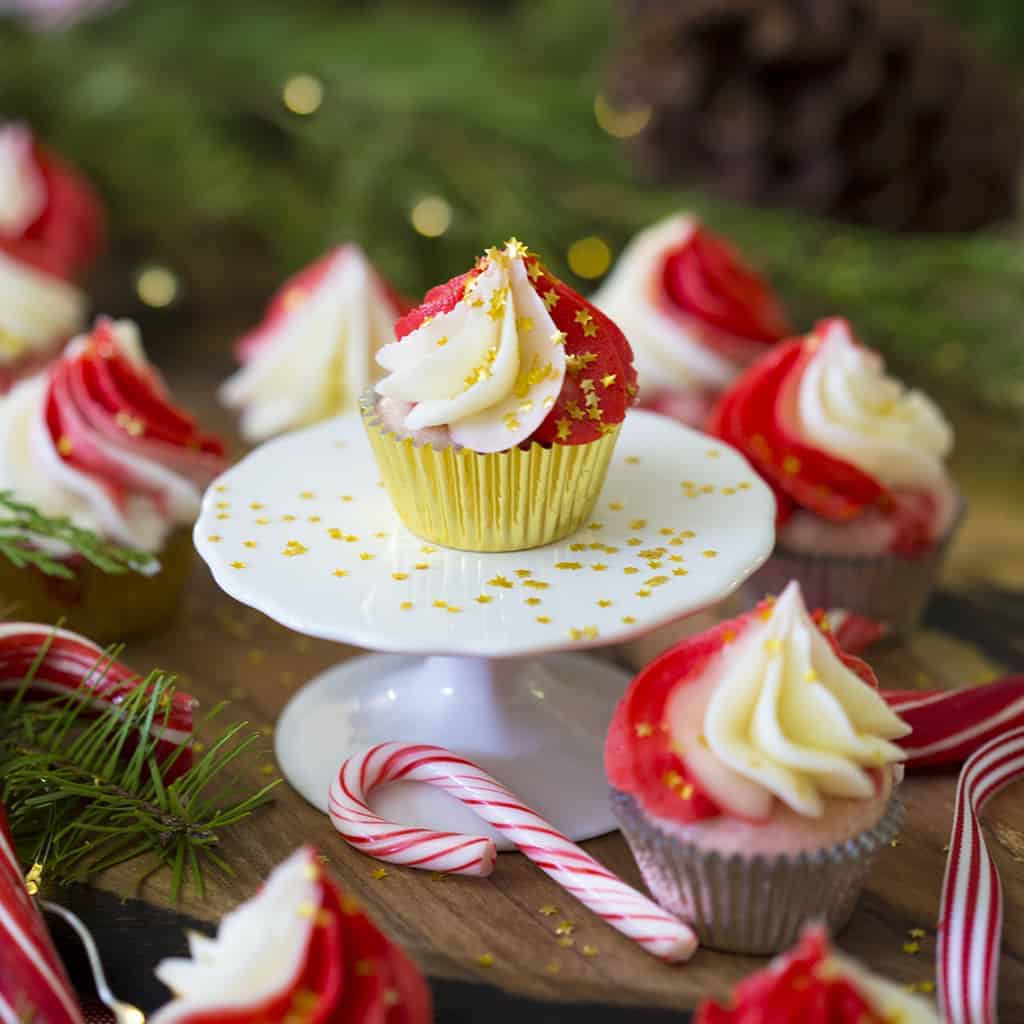 Peppermint Mini Cupcakes square