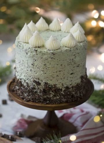 A green mint chip cake with white dollops and a chocolate skirt on a wooden cake stand