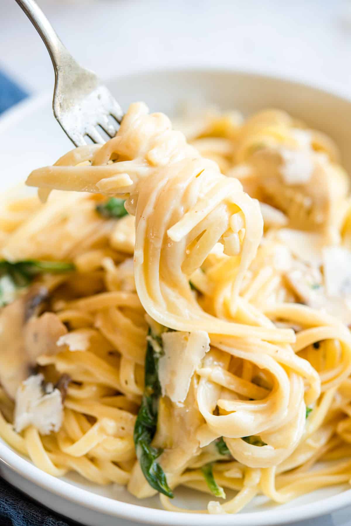 A close up of linguine pasta on a fork with a creamy sauce