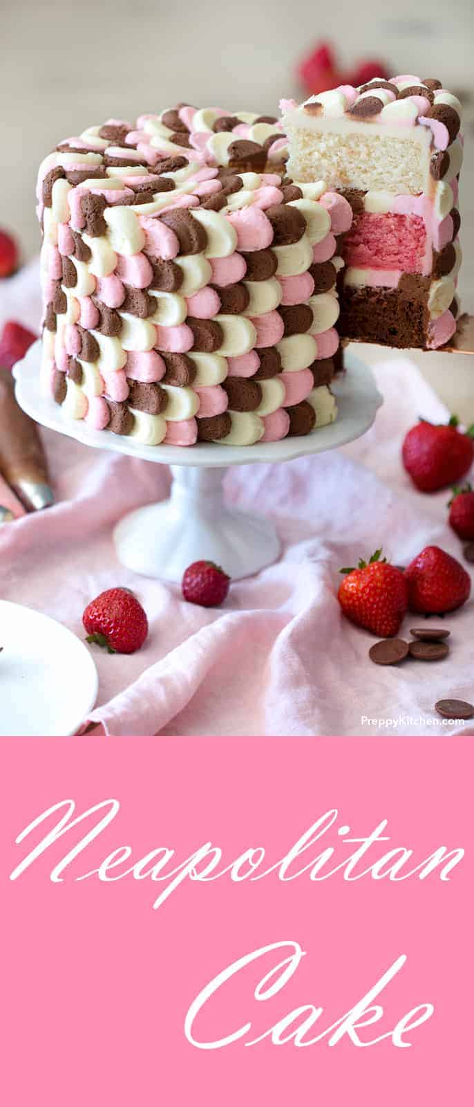 Neapolitan Cake - Preppy Kitchen