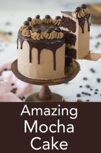 Mocha Cake Preppy Kitchen