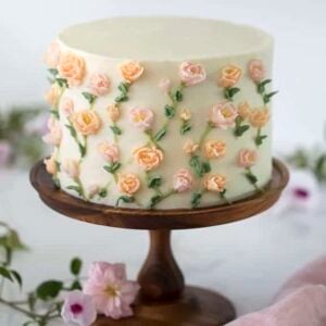 Painted Cake
