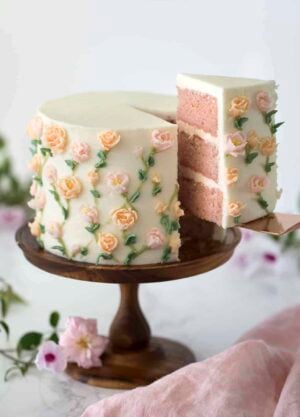 Painted Cake