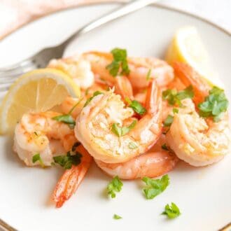 A close up of sauteed shrimp on a plate
