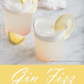 A clipping of a two gin fizz cocktails with sliced lemon.