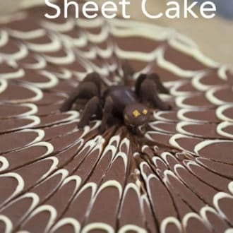 chocolate sheet cake with a white chocolate spider web decoration on top