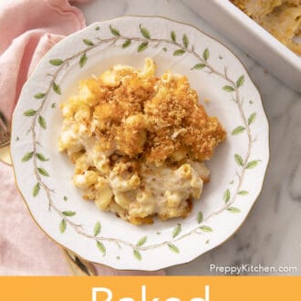 Baked mac and cheese with toasted breadcrumbs on a porcelain plate.