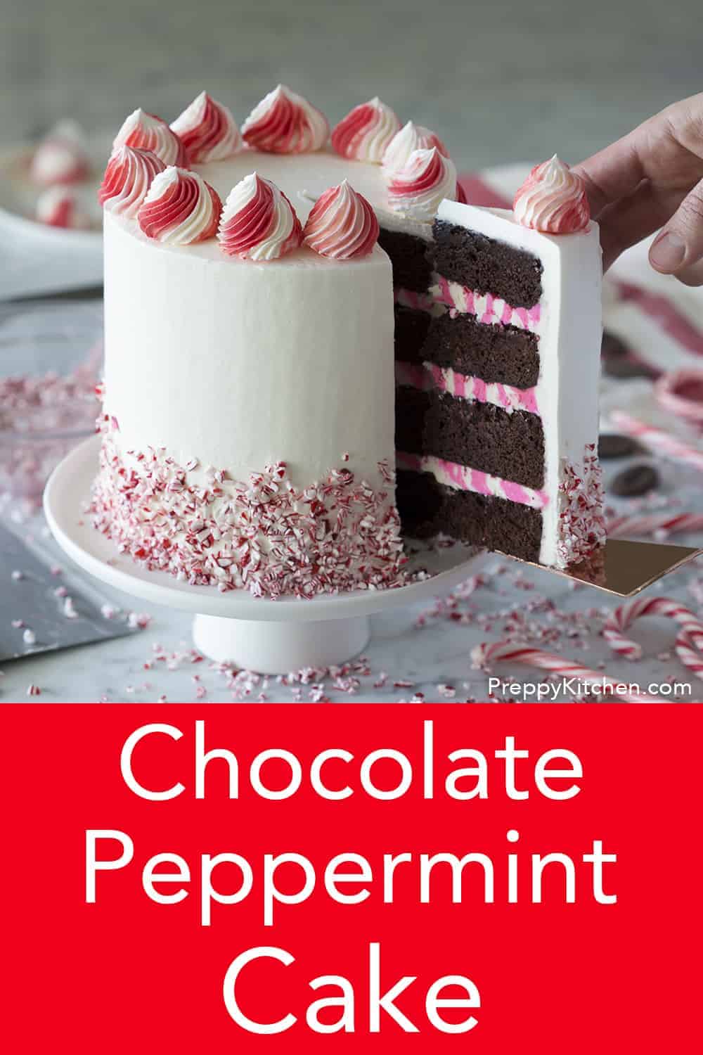 Chocolate Peppermint Cake - Preppy Kitchen