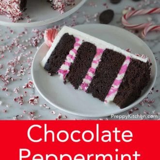 piece of chocolate peppermint layer cake