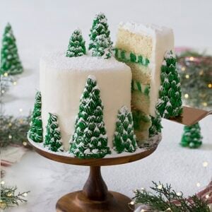 A photo of a cake covered in buttercream pine trees
