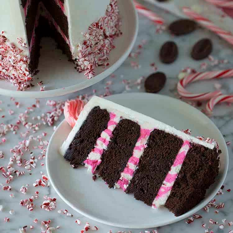 A piece of Chocolate Peppermint Cake on a white marble table.