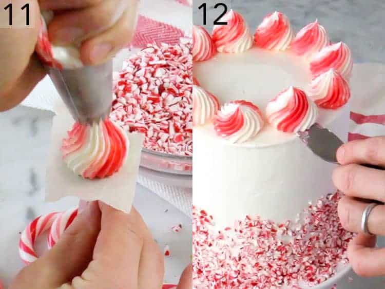 A chocolate peppermint cake getting decorated with red and white dollops