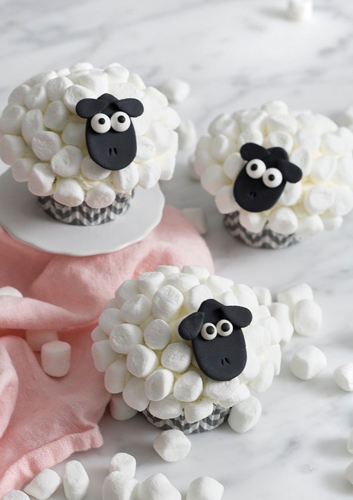 A photo showing a group of sheep cupcakes with mini marshmallow fur.