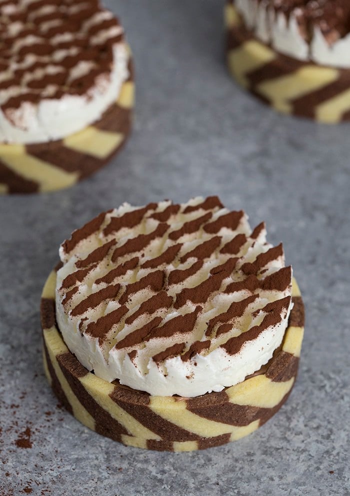 A photo of striped chocolate tarts topped with a dusting of cocoa powder on a grey surface.