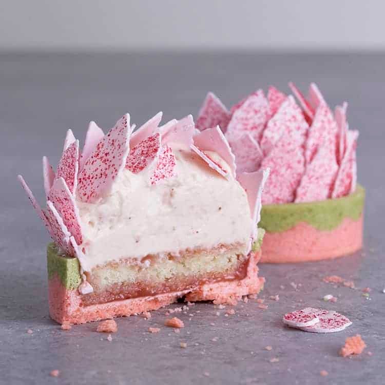 A pink and green tart shaped like a lotus flower cut in half