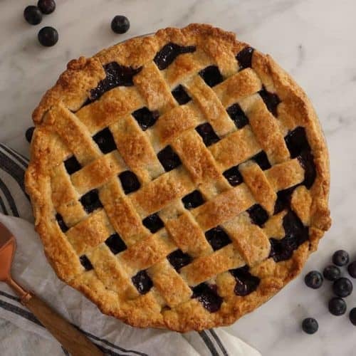 A top down shot of a blueberry cake with a lattice top