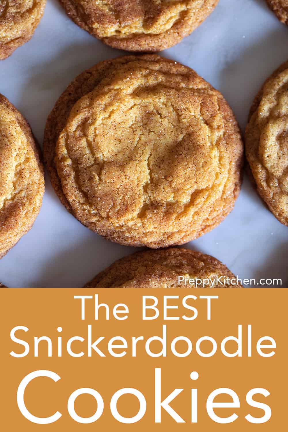 Snickerdoodle Recipe - Preppy Kitchen