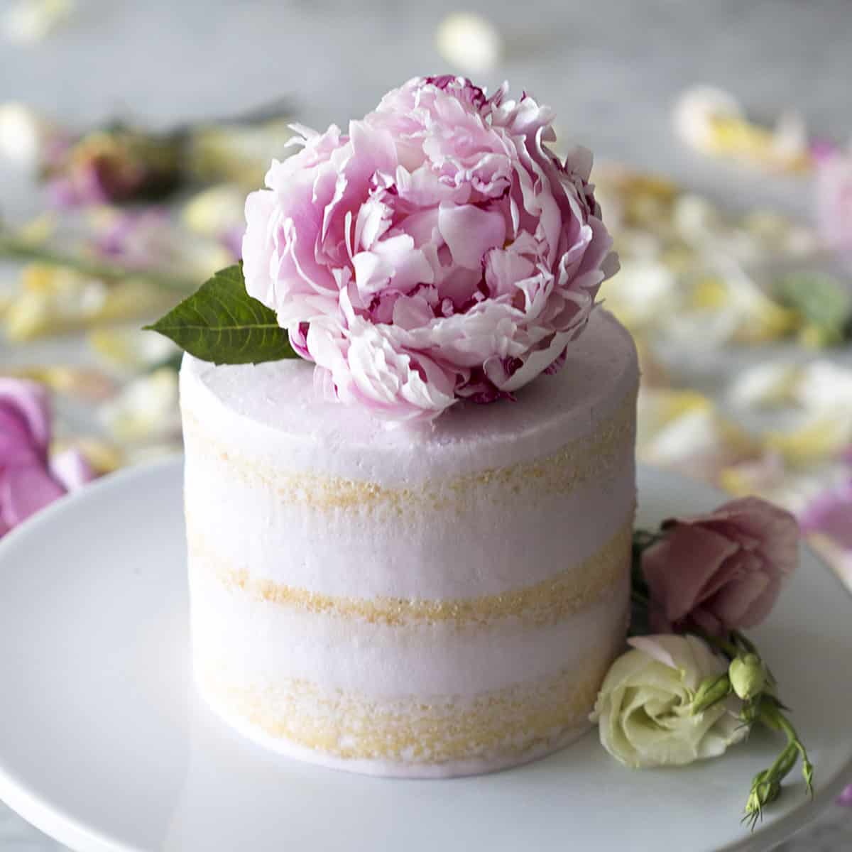 Vanilla Cake Recipe Preppy Kitchen