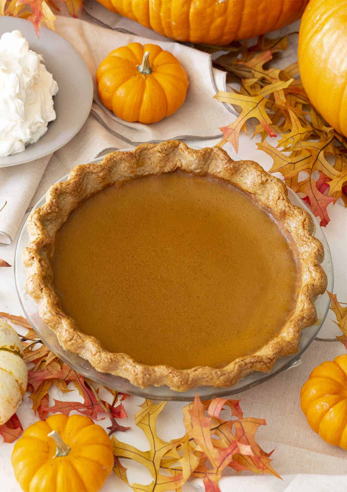 A pumpkin pie next to lots of mini pumpkins and a bowl of whipped cream.