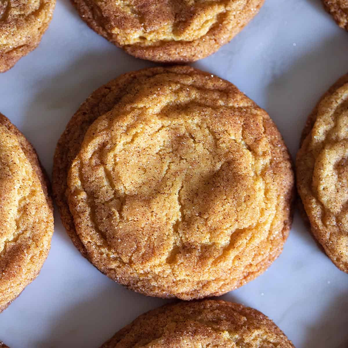 Snickerdoodle Recipe-image