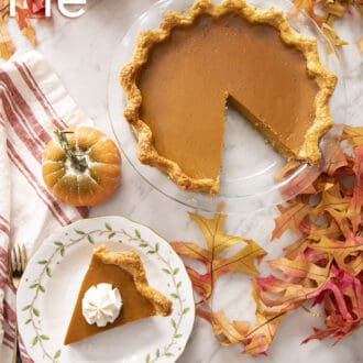 piece of pumpkin pie on a plate with the rest of the pie in the background