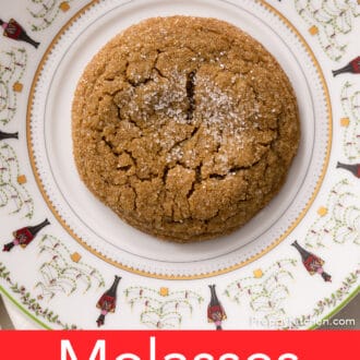 A Christmas plate with one molasses cookie.