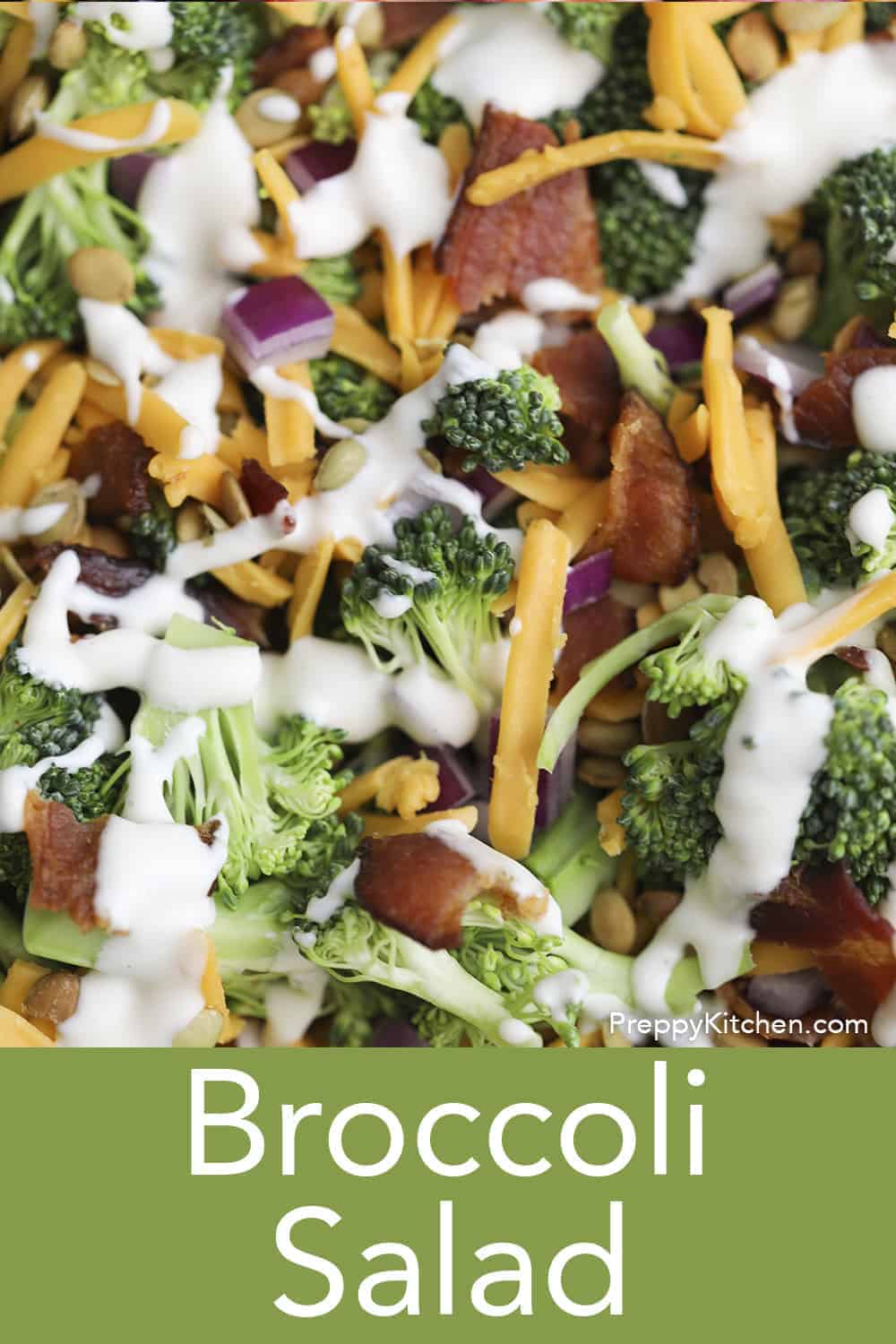 Broccoli Salad - Preppy Kitchen