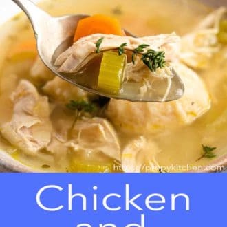 chicken and dumplings in a gray bowl