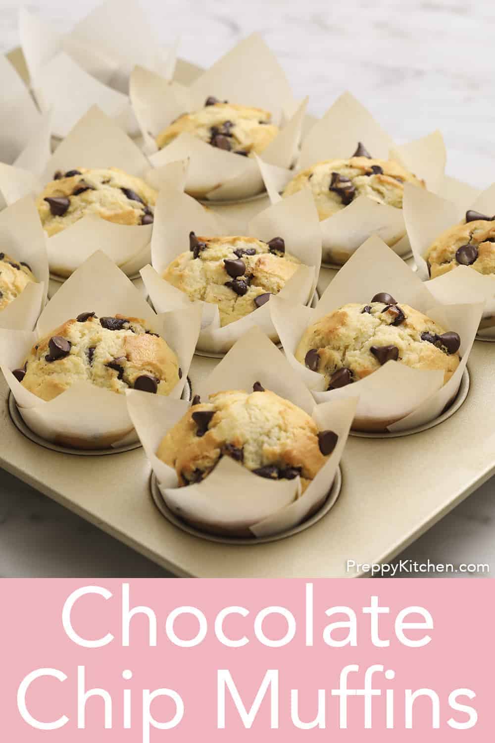 Chocolate Chip Muffins Preppy Kitchen