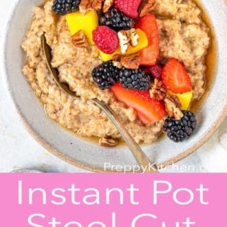 instant pot steel cut oats in a bowl with a spoon