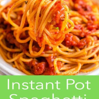 spaghetti with sauce on fork