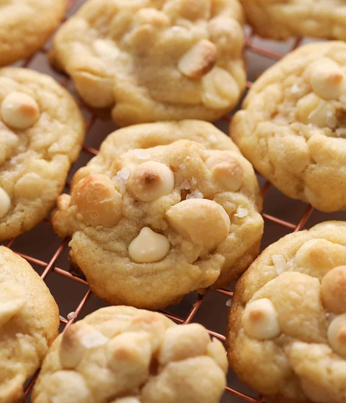 A group of White Chocolate Macadamia nut cookies on a cooling rack.
