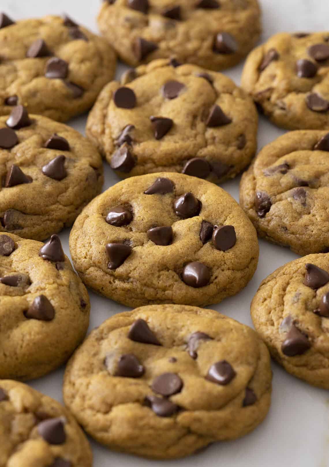 Pumpkin Chocolate Chip Cookies Preppy Kitchen