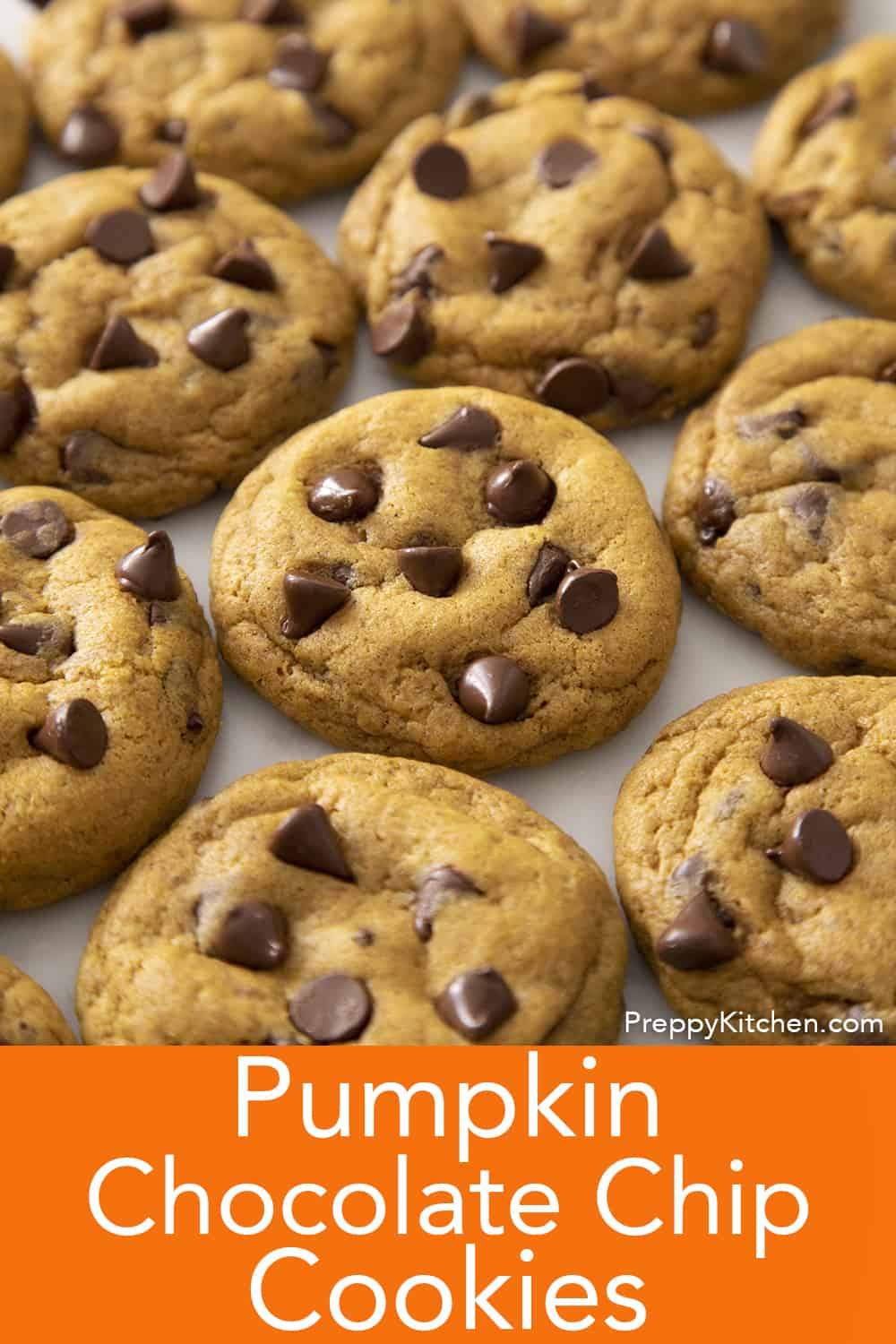 Pumpkin Chocolate Chip Cookies - Preppy Kitchen